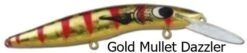 Classic Barra F18 Manta Ray +18 Lures -Outlet Reels And Lures Store Classic Barra F18 8 Lures 12 Gold Mullet Dazzler Freddys 368d105a ef7a 46ba a400 118b76157614