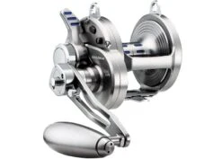 Daiwa Saltiga LD 2020 Overhead Reels