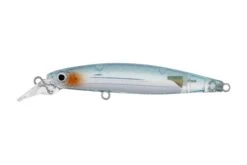 Daiwa 2022 Infeet Sazanami 60SP Lures 18 Daiwa 2022 Infeet Sazanami 60SP Lures -Outlet Reels And Lures Store Daiwa 2022 Infeet Sazanami 60SP Lures Adel Shirazu Freddys