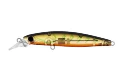 Daiwa 2022 Infeet Sazanami 60SP Lures 16 Daiwa 2022 Infeet Sazanami 60SP Lures -Outlet Reels And Lures Store Daiwa 2022 Infeet Sazanami 60SP Lures Risky Suji Freddys