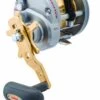 Daiwa Saltist LW Overhead Reel Clearance -Outlet Reels And Lures Store Daiwa Saltist Overhead LW HA reels Freddys 8bff23b6 a4cc 4e44 a18d e00175836fcd