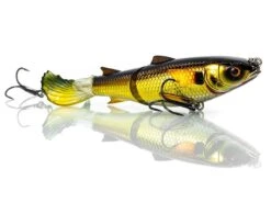Chasebaits Drunken Mullet Lure Clearance -Outlet Reels And Lures Store DrunkenMullet 2 2000 Gold Shiner fcbcab13 3cc9 4a3e b39e e3668ef0549d