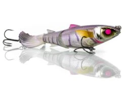 Chasebaits Drunken Mullet Lure Clearance -Outlet Reels And Lures Store DrunkenMullet 7 2000 Jelly Prawn 49988a0a d5a4 451c 8875 67e01414b6e5