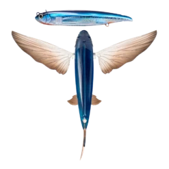 Nomad Slipstream Flying Fish Pack -Outlet Reels And Lures Store FF140 FP OC