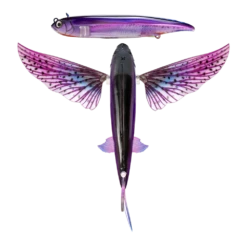 Nomad Slipstream Flying Fish Pack -Outlet Reels And Lures Store FF140 FP PHT