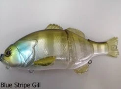 Jackall Chibitarel Swimbait Lures -Outlet Reels And Lures Store HL BLUE STRIPE GILL 3ddc4e75 44f7 460e ad77 b07140152f52