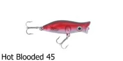 Halco Roosta Popper Surface Lures -Outlet Reels And Lures Store Halco Roosta Popper 45 Hot Blooded Freddys 0ddeccc6 b535 4c34 bbd2 a0cf44242db6