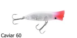 Halco Roosta Popper Surface Lures -Outlet Reels And Lures Store Halco Roosta Popper 60 Caviar Freddys a98ca28c 9eaa 48be a864 81a3c98ecef8