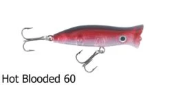 Halco Roosta Popper Surface Lures -Outlet Reels And Lures Store Halco Roosta Popper 60 Hot Blooded Freddys 4cadb399 1243 4977 a4ed 0000f2cd13bd