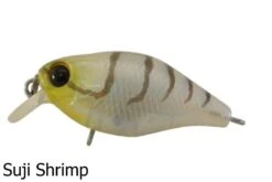 Jackall Diving Chubby Shallow Floating Lures -Outlet Reels And Lures Store Jackall Chubby Shallow Suji Shrimp Freddys 69c29ee3 a61c 441c 9039 46c219eb1ef3