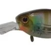 Jackall Chubby Minnow D 35SP -Outlet Reels And Lures Store Jackall DD Chubby Ghost Gill Freddys 4de855c1 6079 4b6e 8e5c 3638c026e24b