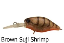 Jackall Diving Chubby Deep Floating Lures -Outlet Reels And Lures Store Jackall Diving Chubby Brown Suji Shrimp Freddys f6a50360 287e 4c13 9f20 669bac8c2690
