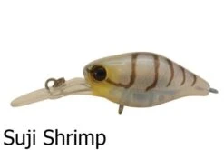 Jackall Diving Chubby Deep Floating Lures -Outlet Reels And Lures Store Jackall Diving Chubby Suji Shrimp Freddys d55601a2 1759 4107 ac16 62ed3b8330d1