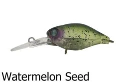 Jackall Diving Chubby Deep Floating Lures -Outlet Reels And Lures Store Jackall Diving Chubby Watermelon Seed Freddys 3afb9abd 36e6 4bcd 9c40 3599577bb26d