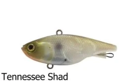 Jackall Mask Vibe 60HM Lures 7 Jackall Mask Vibe 60HM Lures -Outlet Reels And Lures Store Jackall Mask Vib 60 Tennessee Shad Freddys 23cdbfa7 76cc 4069 9535 d2c18a86d6b2