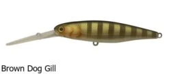 Jackall Squirrel SDD 79SP Suspending Hank Tune Lures -Outlet Reels And Lures Store Jackall Squirrel 79 Brown Dog Gill Freddys 446450a7 b29d 4587 9ff2 45a7f6df3f0c