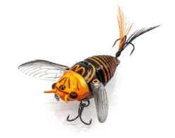 Chasebaits Ripple Cicada 43mm Surface Lures 14 Chasebaits Ripple Cicada 43mm Surface Lures -Outlet Reels And Lures Store Orange Devil d07eddf8 4393 407e 81fa 789d6439a43d