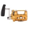 Penn International VISW Gold Overhead Reels -Outlet Reels And Lures Store Penn International VISW 50 Freddys a80f52b7 c92a 4bdc a060 9eebfbf832f7