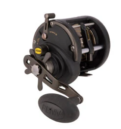 Penn Squall II Level Wind Reels -Outlet Reels And Lures Store Penn Squall II Level Wind Reels 30 Freddys