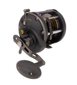 Penn Squall II Level Wind Reels -Outlet Reels And Lures Store Penn Squall II Level Wind Reels 50 Freddys