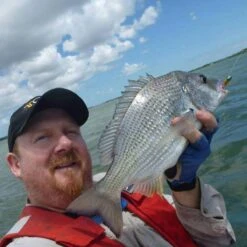 Pro Cure Super Gel Scent -Outlet Reels And Lures Store Pro Cure 3 52b977ad 182e 4b4d 97dc 78342ba86917