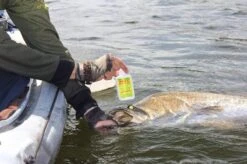 Pro Cure Super Gel Scent -Outlet Reels And Lures Store Pro Cure 5 41f95286 7fce 4791 81b1 ef84e5028768