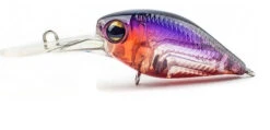 Pro Lure D36 Deep Diving Crank Lures -Outlet Reels And Lures Store Pro Lure D36 Crank Lures Phantom Freddys