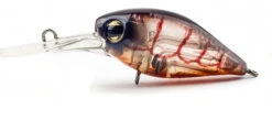 Pro Lure D36 Deep Diving Crank Lures -Outlet Reels And Lures Store Pro Lure D36 Crank Lures Tiger Shrimp Freddys