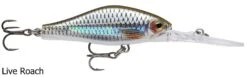 Rapala Shadow Rap Jack Deep 50mm Lures 10 Rapala Shadow Rap Jack Deep 50mm Lures -Outlet Reels And Lures Store Rapala Shadow Rap Jack Deep 50mm Live Roach Freddys 6351a05a 0f59 484d bbab 53a762439fab