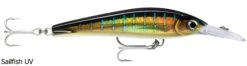 Rapala X-Rap Magnum X-Extreme HD 160mm Lures 13 Rapala X-Rap Magnum X-Extreme HD 160mm Lures -Outlet Reels And Lures Store Rapala X Rap Magnum X Extreme HD Sailfish UV HDSFU Freddys 32e0a24b 5d72 44c5 a7df d9a20a229671