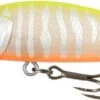 Samaki Redic 60mm Jerkbait Lures 1 Samaki Redic 60mm Jerkbait Lures -Outlet Reels And Lures Store Redic MS60 Cleopatra Freddys b70ceb47 674e 4a19 856e 2e03db04931b