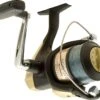 Shimano Hyperloop Reels -Outlet Reels And Lures Store ShimanoHyperloopReels Freddys