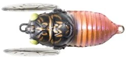 Tiemco Soft Shell Cicadas -Outlet Reels And Lures Store TIEMCO Soft Shell Cicada 123 Black Gold Freddys f3c960dd 6e80 41ea 9bf3 780afa4426fe
