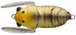 Tiemco Soft Shell Cicadas -Outlet Reels And Lures Store TIEMCO Soft Shell Cicada 129 Brown Moth Freddys b8c52d4d eca3 4214 bcb5 06c8db587968