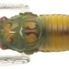 Tiemco Soft Shell Cicadas -Outlet Reels And Lures Store TIEMCO Soft Shell Cicada Haruzemi 043 Freddys d4447b8f b860 4f0f ab6d e931b114b257