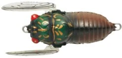 Tiemco Soft Shell Cicadas -Outlet Reels And Lures Store TIEMCO Soft Shell Cicada Olive Tsukutsuku 117 Freddys 74be062c c5c5 4a8e b78d f597fe8d768d