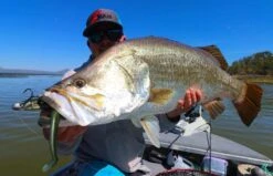 TT SwimlockZ Jigheads -Outlet Reels And Lures Store TT Swimbait Jigheads 3 Freddys 58ad4788 d301 4ad8 b107 b03b3346c3a8